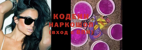 индика Аркадак