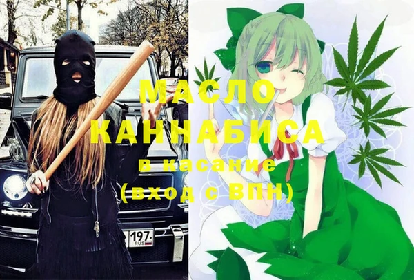 индика Аркадак